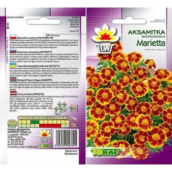 Nasiona Aksamitka rozp. Marietta niska Tor240