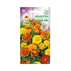 Nasiona Aksamitka rozp Brocade mieszanka Tor236