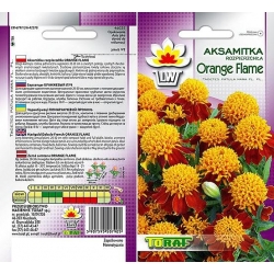 Nasiona Aksamitka rozp.Orang niska Tor241