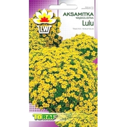 Nasiona Aksamitka wąskolistna Lulu Tor242