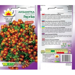 Nasiona Aksamitka wąskolis Paprika Tor243