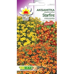 Nasiona Aksamitka wąskolis Starfire mix Tor244