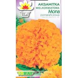 Nasiona Aksamitka wielkokw. Mona Tor246