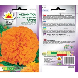 Nasiona Aksamitka wielkokw. Mona Tor246