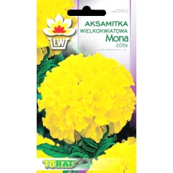 Nasiona Aksamitka wielkokw. Mona Tor247