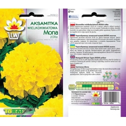 Nasiona Aksamitka wielkokw. Mona Tor247