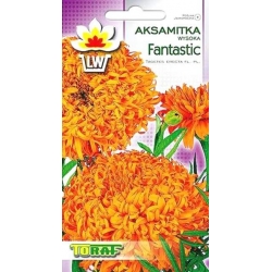Nasiona Aksamitka wysoka Fantastik Tor248