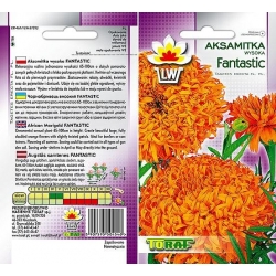 Nasiona Aksamitka wysoka Fantastik Tor248