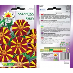 Nasiona Aksamitka wysoka Klaun Tor249