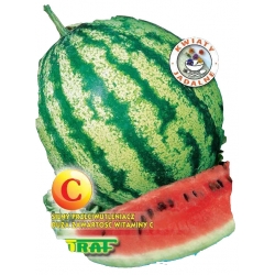 Nasiona. Arbuz Crimson Sweet Tor2