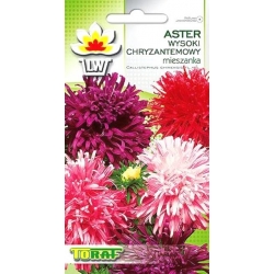 Nasiona Aster chryz. wysoki mix Tor255