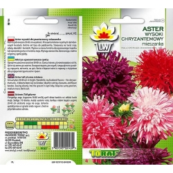 Nasiona Aster chryz. wysoki mix Tor255
