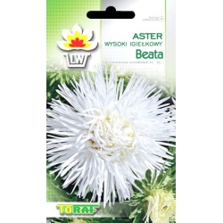 Nasiona Aster igiełkowy wysoki Beata Tor257