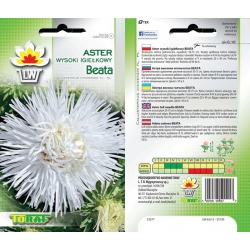Nasiona Aster igiełkowy wysoki Beata Tor257