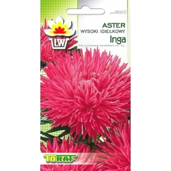 Nasiona Aster igiełkowy wysoki Inga Tor258