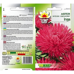 Nasiona Aster igiełkowy wysoki Inga Tor258