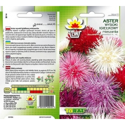 Nasiona Aster igiełkowy wysoki Tor259