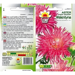 Nasiona Aster igiełkowy wysoki Walentyna Tor260