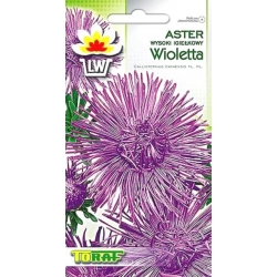 Nasiona Aster igiełkowy wysoki Tor261