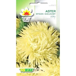 Nasiona Aster igiełkowy wysoki Tor262