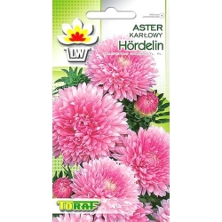 Nasiona Aster karłowy Hordelin Tor263