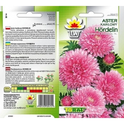 Nasiona Aster karłowy Hordelin Tor263