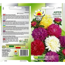 Nasiona Aster karłowy Tor267
