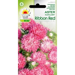 Nasiona Aster karłowy Ribbon red Tor265