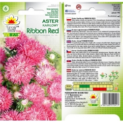 Nasiona Aster karłowy Ribbon red Tor265