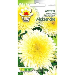 Nasiona Aster książęcy wysoki Aleksandra Tor268