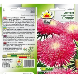 Nasiona Aster książęcy wysoki Cymes Tor270