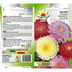 Nasiona Aster książęcy wysoki Tor271