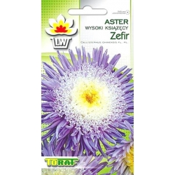 Nasiona Aster książęcy wysoki Zefir Tor275