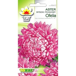 Nasiona Aster peoniowy wysoki Ofelia Tor278