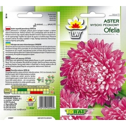Nasiona Aster peoniowy wysoki Ofelia Tor278