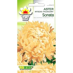 Nasiona Aster peoniowy wysoki Sonata Tor280