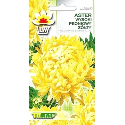  Nasiona Aster peoniowy wysoki Tor282
