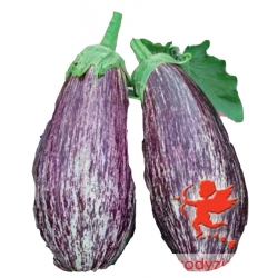 Nasiona. Bakłażan Tsakoniki Tor4