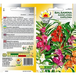 Nasiona Balsamina Kameliowa Karłowa Tor283