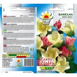 Nasiona Bawełna indyjska Tor611