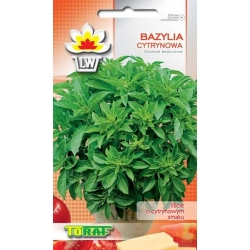  Nasiona Bazylia cytrynowa Tor579