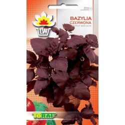 Nasiona Bazylia czerwona Tor578