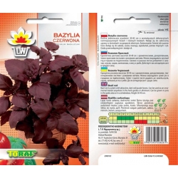 Nasiona Bazylia czerwona Tor578