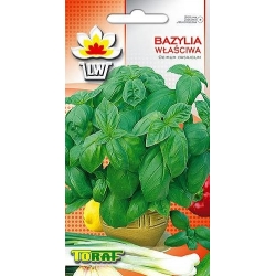 Nasiona Bazylia właściwa Tor577