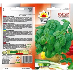 Nasiona Bazylia właściwa Tor577
