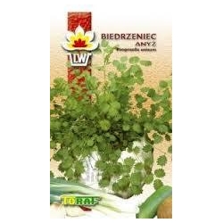  Nasiona Biedrzyniec anyż Tor581