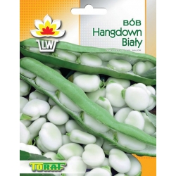 Nasiona Bób Hangdown Biały Tor5