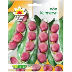 Nasiona Bób Karmazyn Tor7
