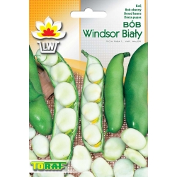 Nasiona Bób Windsor Biały Tor6