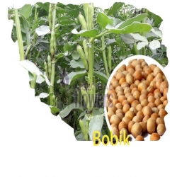 Nasiona Bobik Tor557